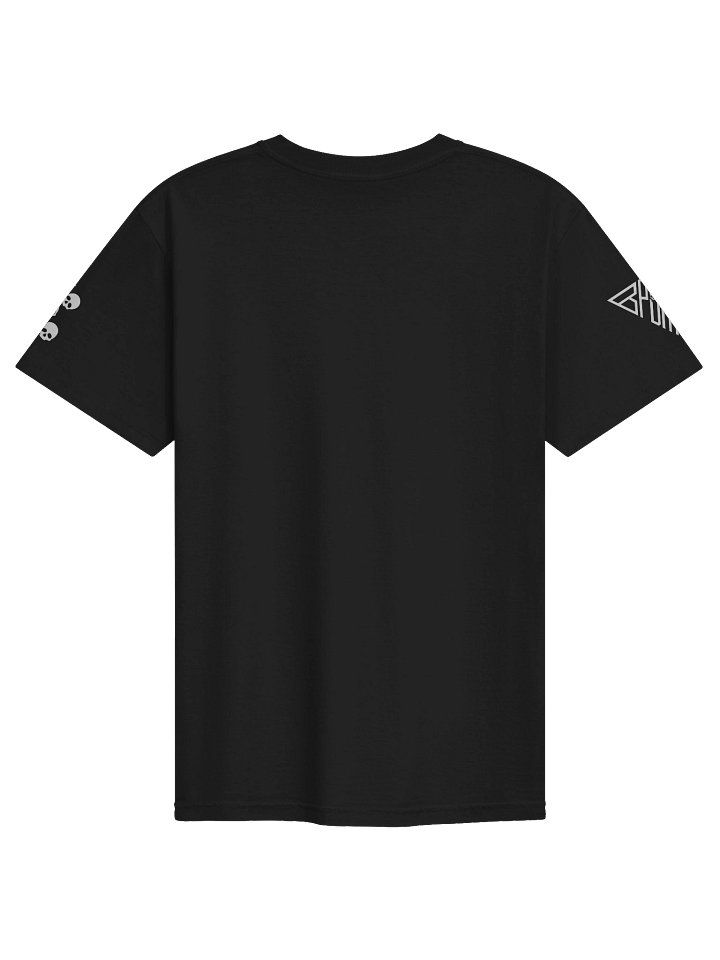BP_DM - Heavyweight T-Shirt product image (2)