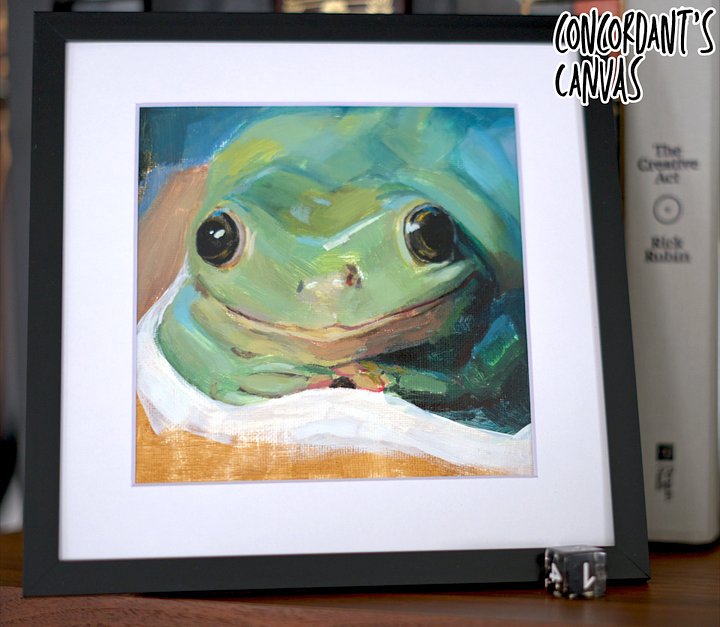 Prom Frog - Original product image (1)