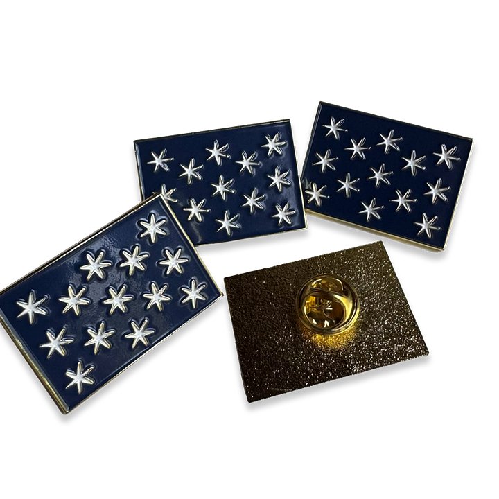No Kings Lapel Pin product image (1)