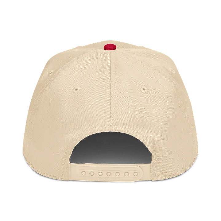 Bad Day to be a Chicago Dog embroidered hat product image (14)