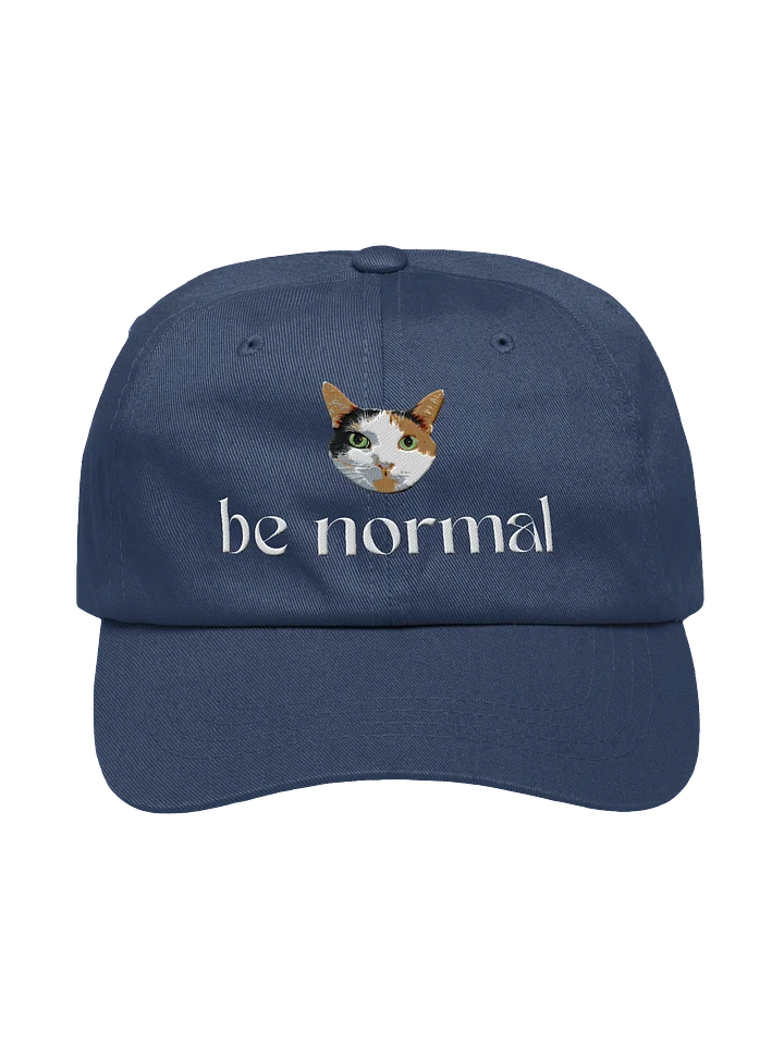 Be Normal Dad Cap product image (17)