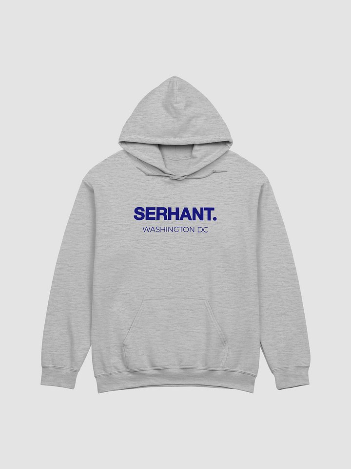 SERHANT. Washington DC Grey Hoodie product image (1)