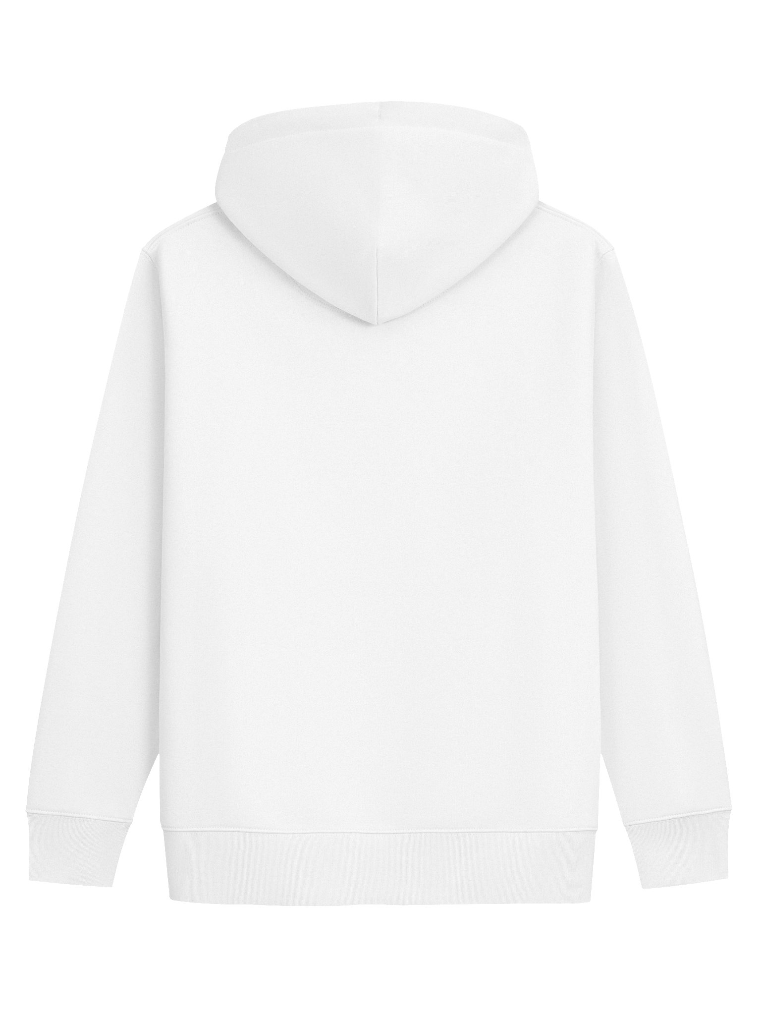 Eco Hoodie product image (2)