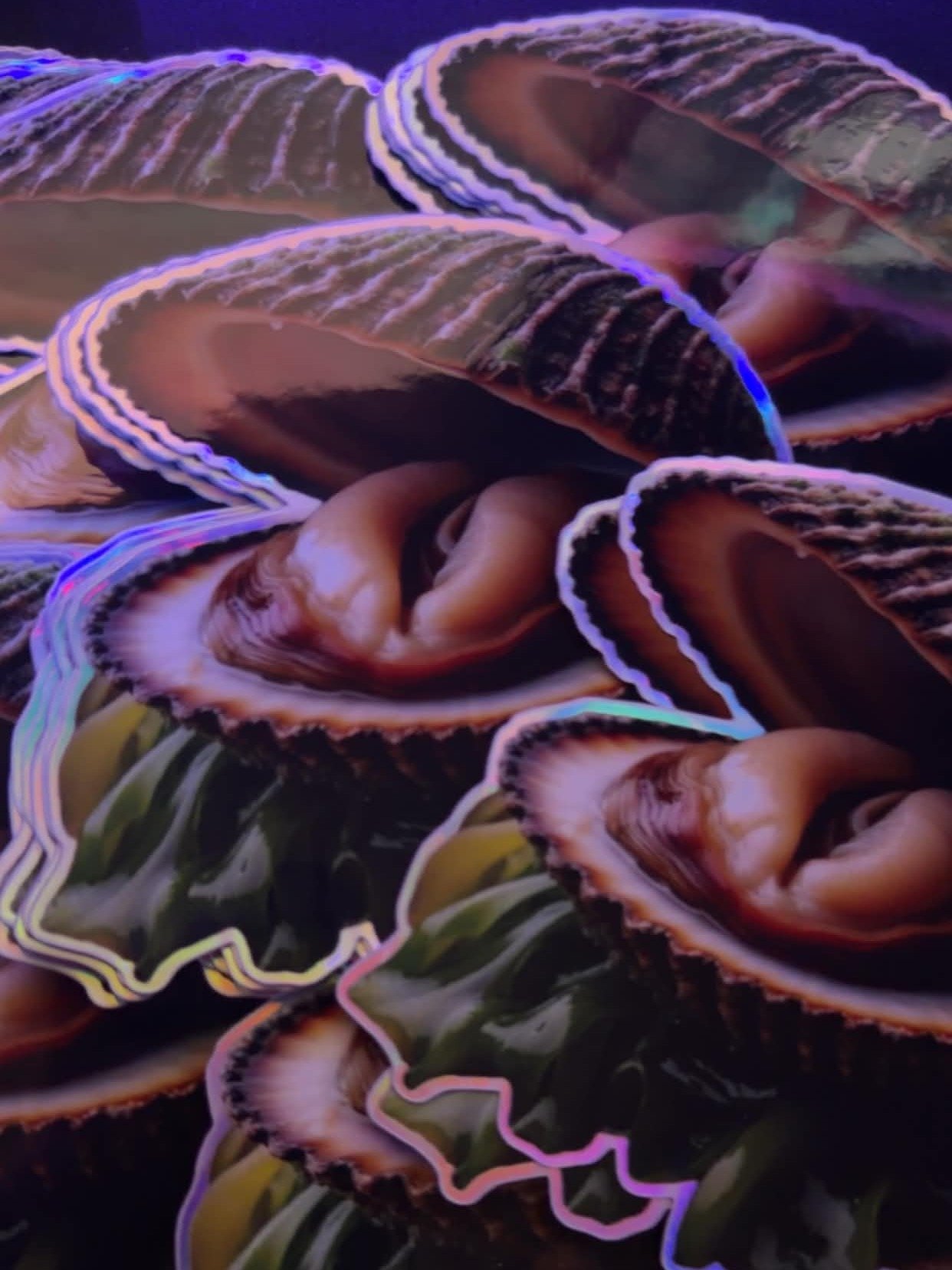 ClamSlam Sticky product image (2)