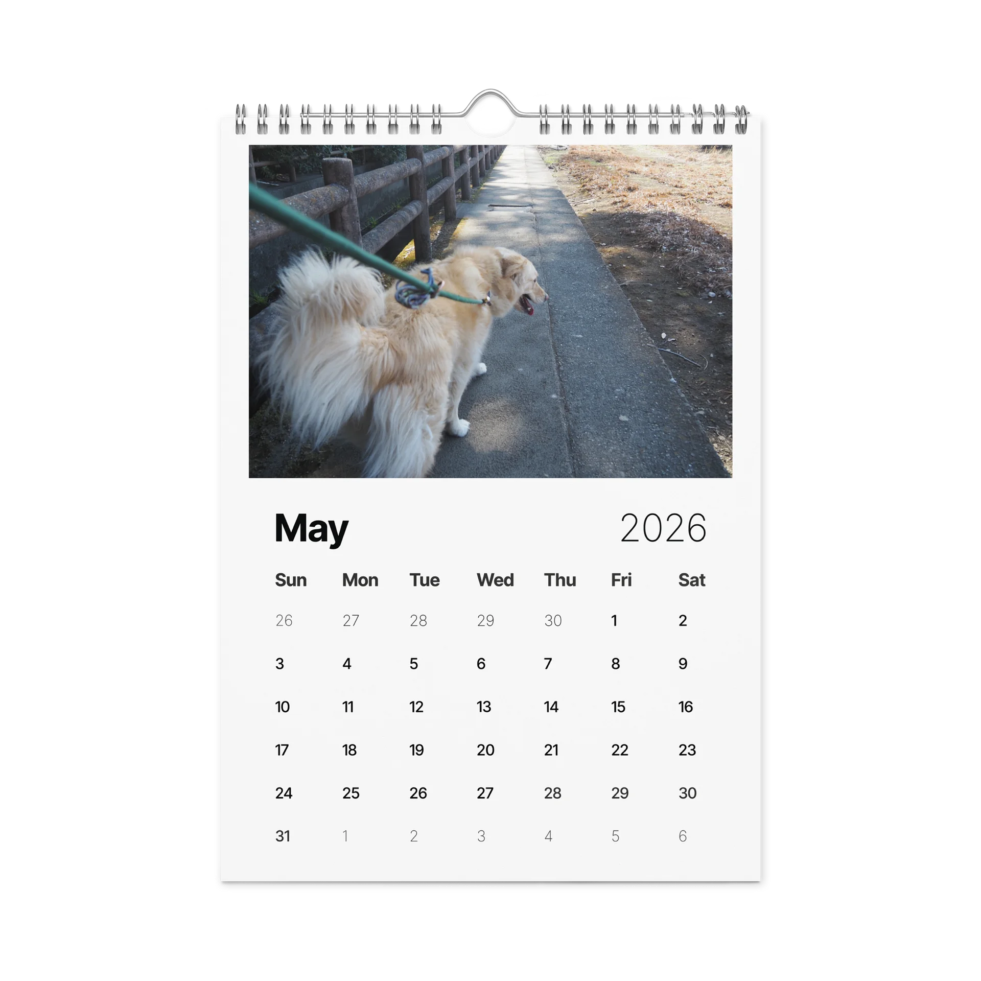 Milo's Life 2026 Wall Calendar product image (3)