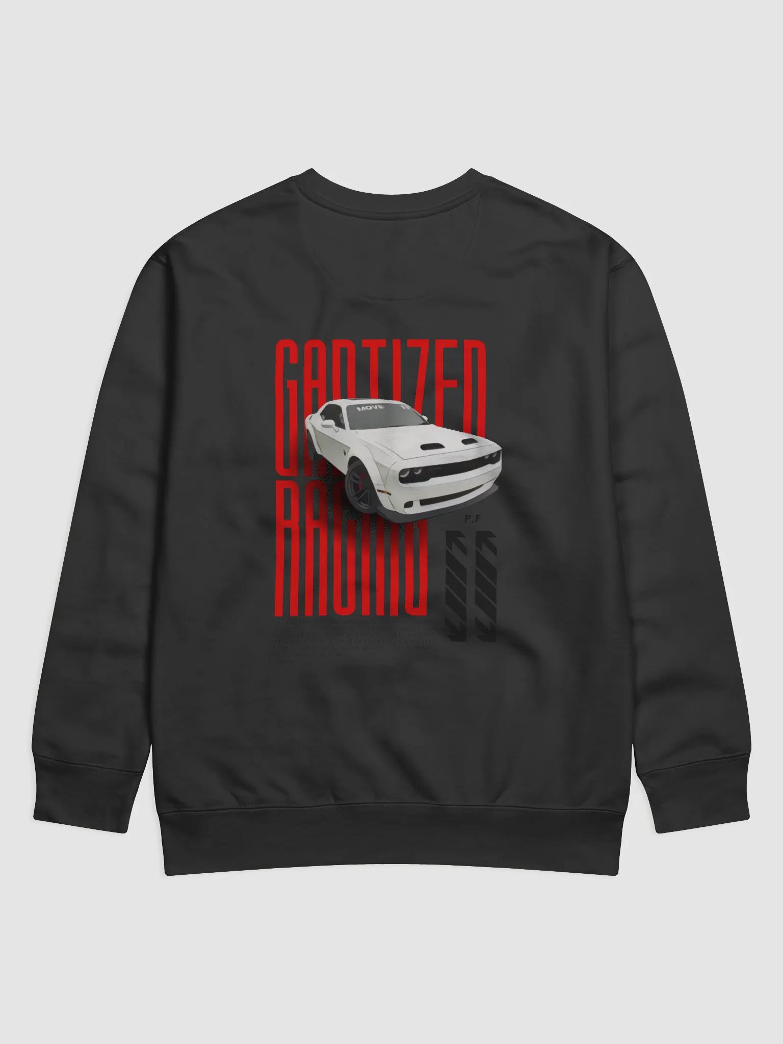 Gaptized Racin Sweater product image (2)