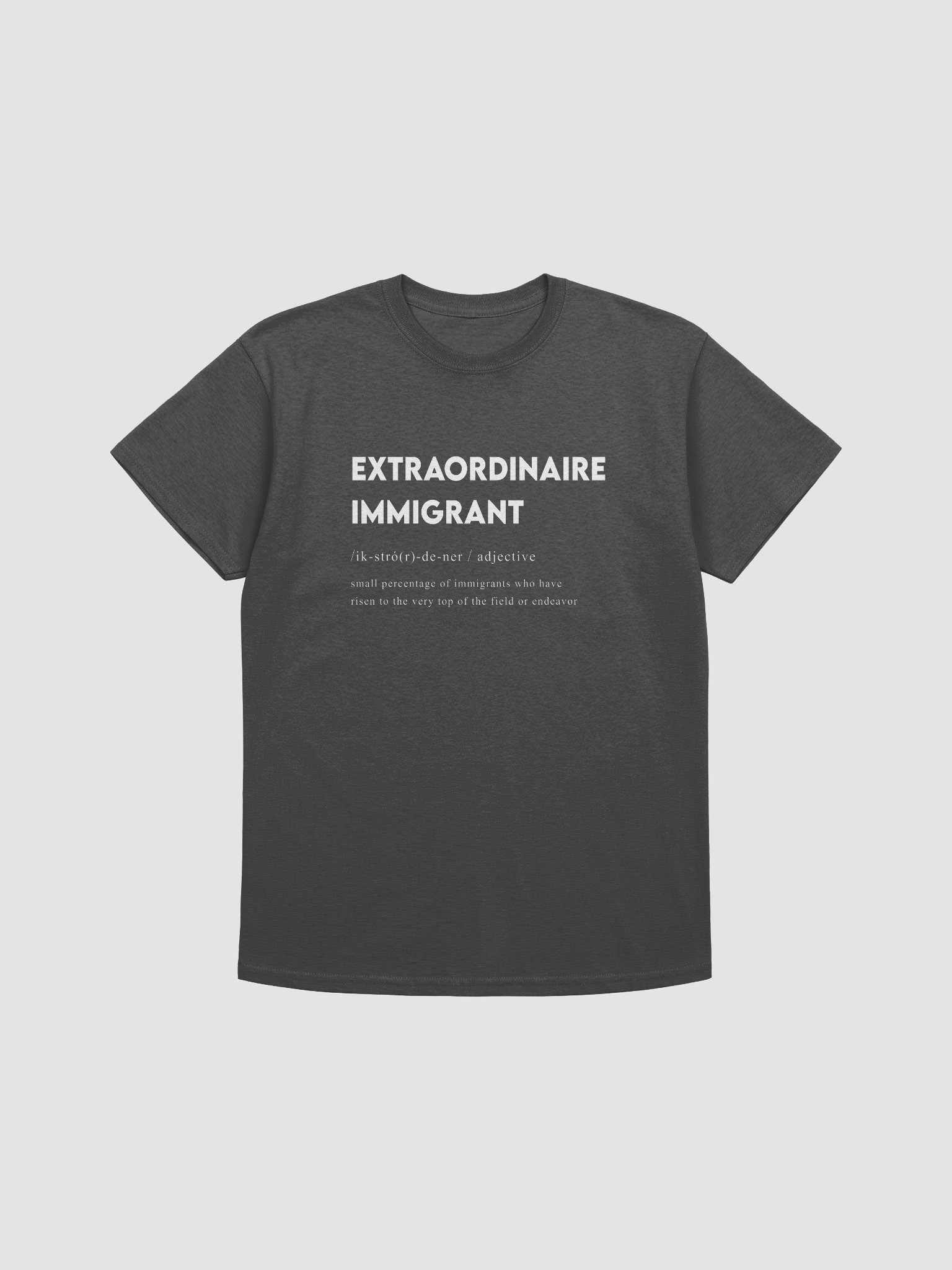 EXTRAORDINAIRE IMMIGRANT TSHIRT CHARCOL product image (1)