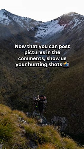 We can finally comment with images on instagram, show us your hunting shots in the comments! 📸

#hunting #photography #images...