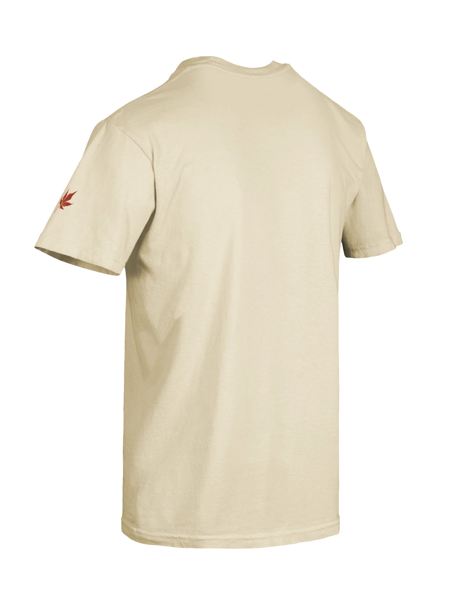 Ottawa Vibes in Comfort Colors T-Shirt product image (90)