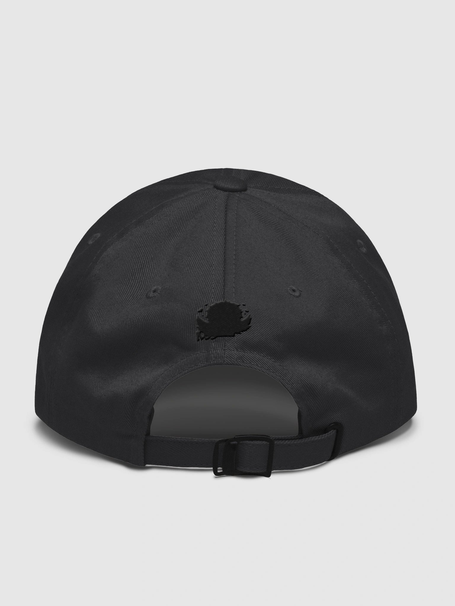 !gorra product image (2)