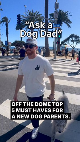 New dog parent starter pack. 

Save this. You'll need it.

 

#westsidedoggang #newdogparent #dogtips