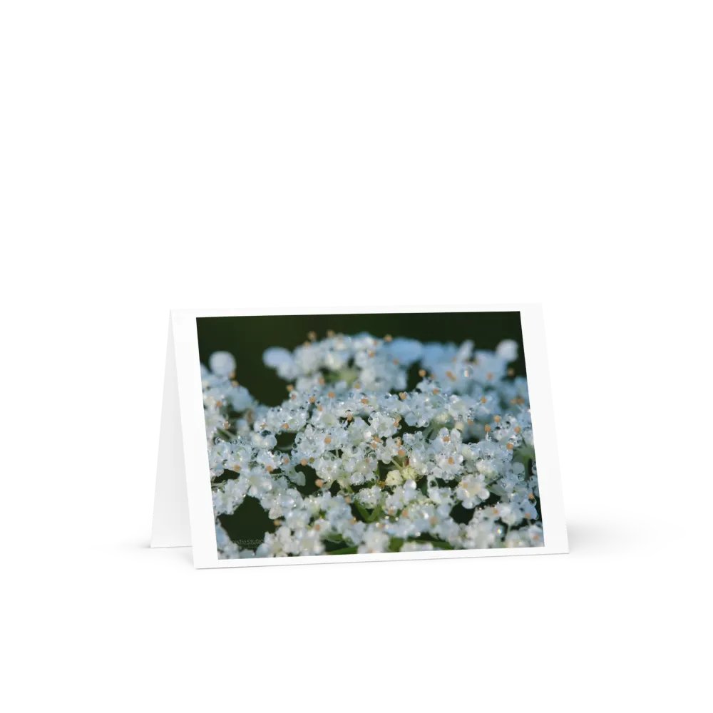 Dew Lace Greeting Card product image (3)