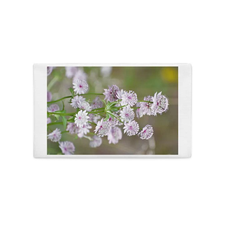 Premium Pillow Case: Stjärnflocka product image (2)
