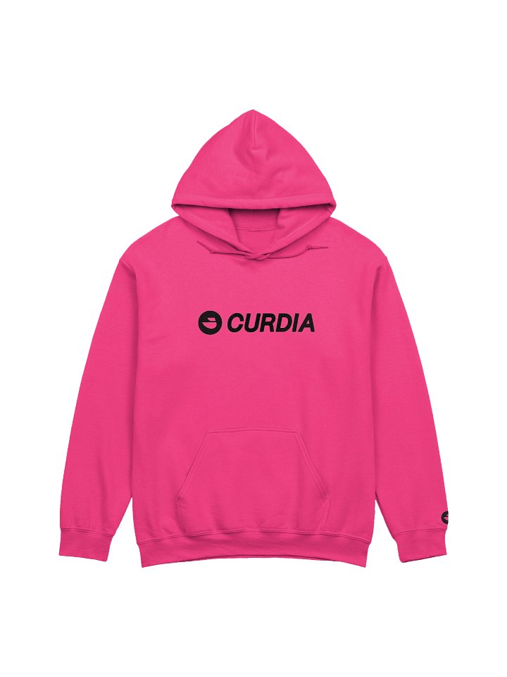 Curdia Black Brand Embroidered Hoodie product image (1)