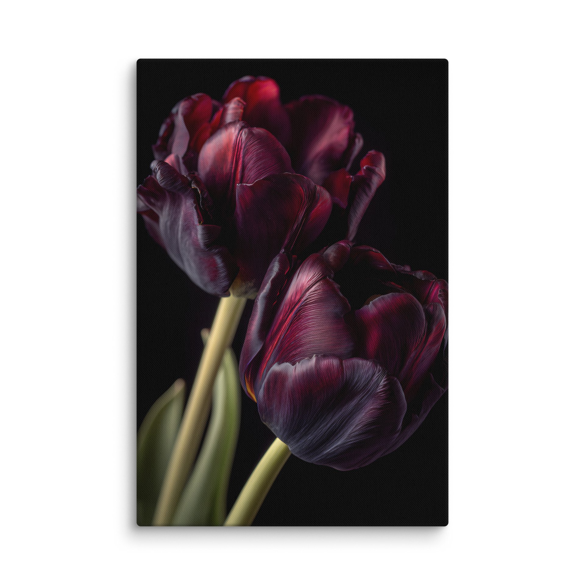 Tulips After Dusk III — Carmine Duet Canvas product image (1)