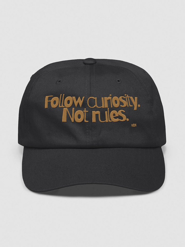 Curiosity Embroidered Classic Dad Hat product image (1)