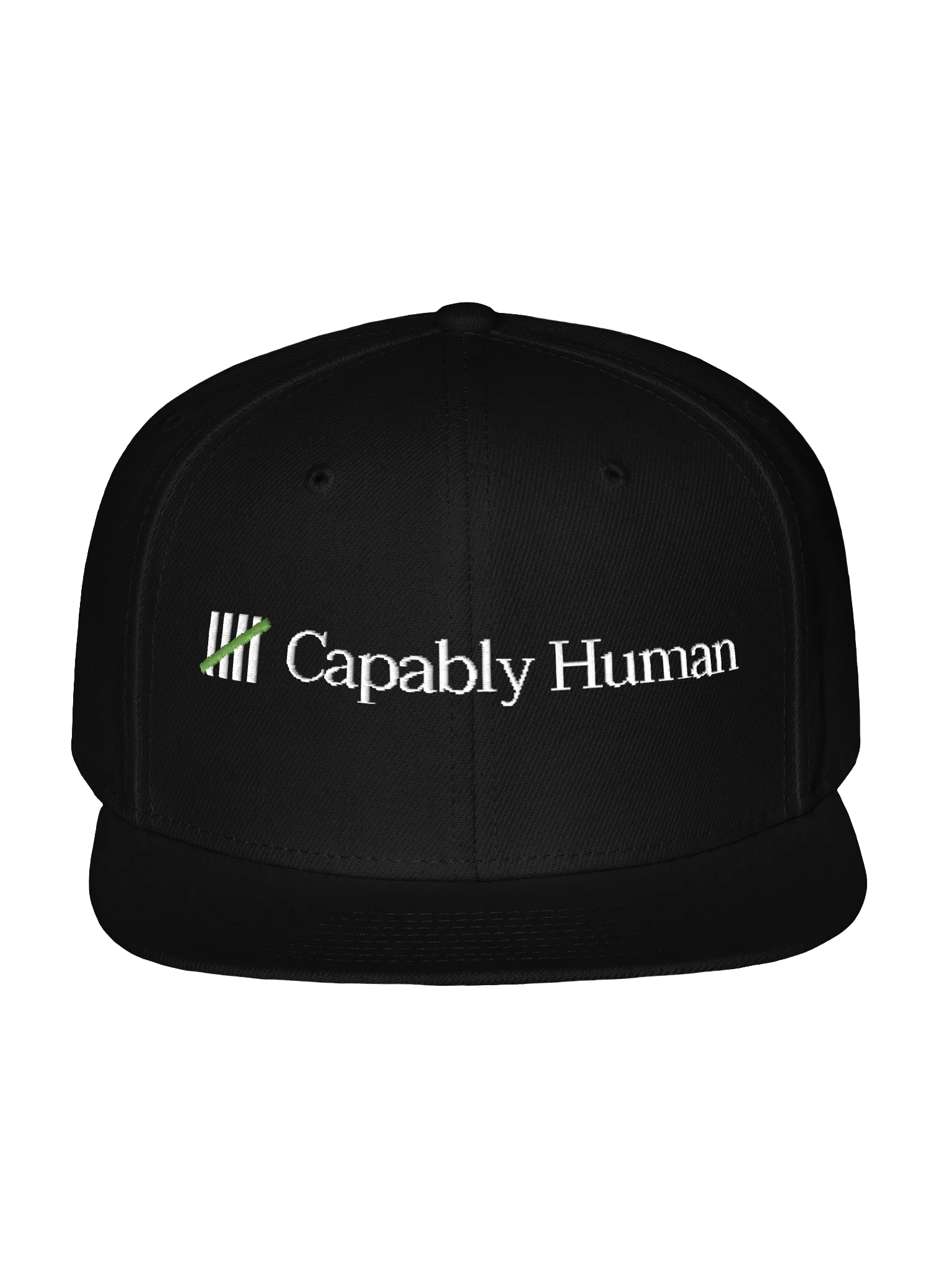Capably Human - Wool Blend Snapback Cap product image (1)