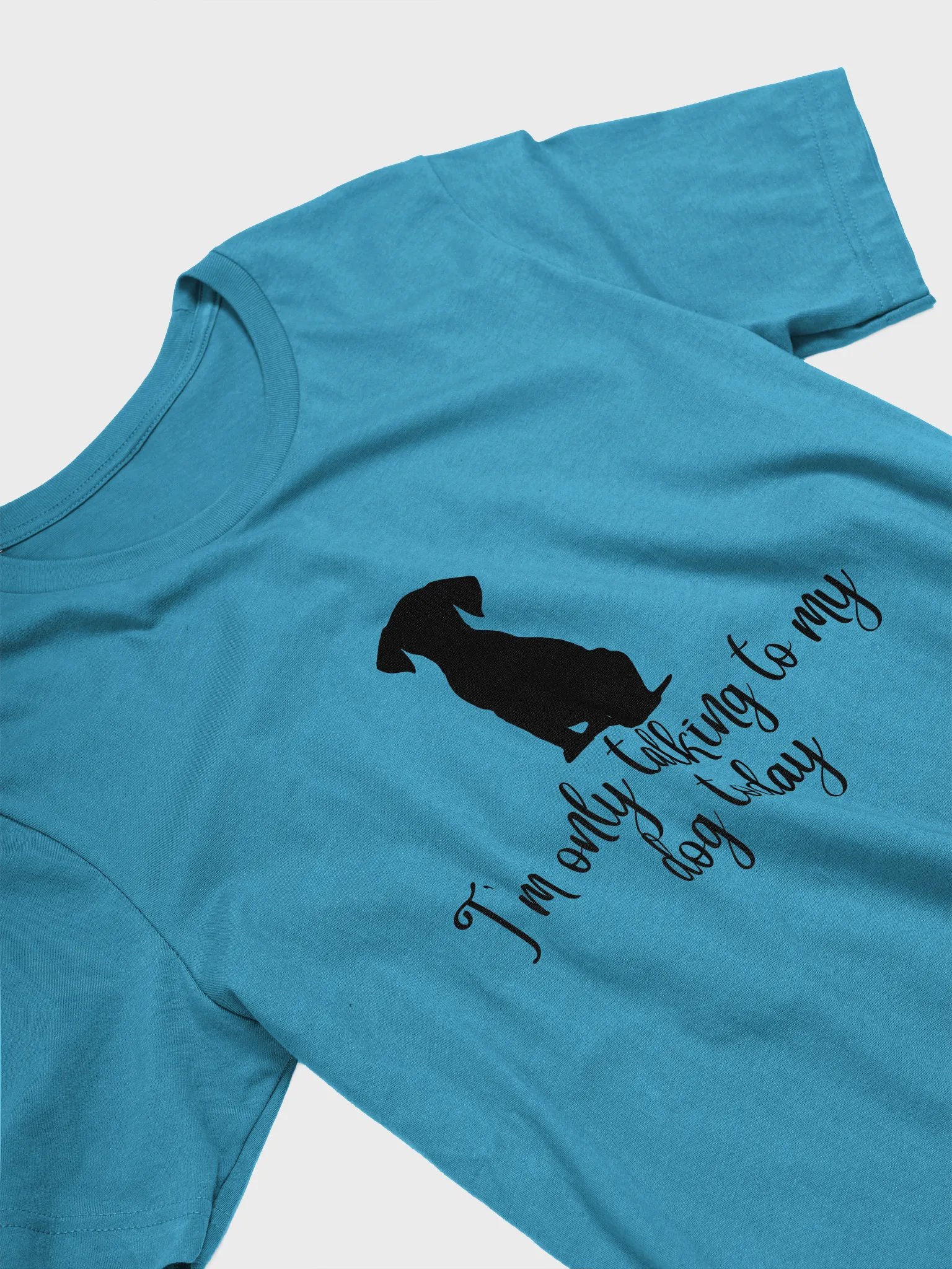 I'm only talking to my dog today t-shirt product image (3)
