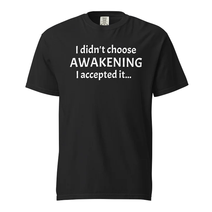 “I Didn’t Choose Awakening” Tee – Spiritual Journey Statement product image (1)
