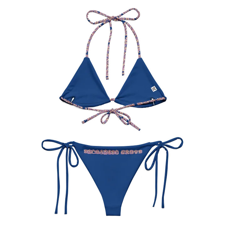 Kingdom Treasurer Recycled Bikini Set product image (1)