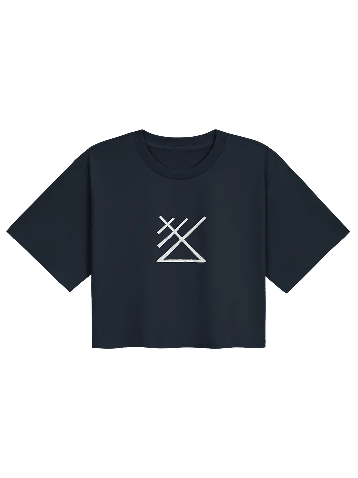 Backsliders Magazine Women's Crop Tee product image (5)