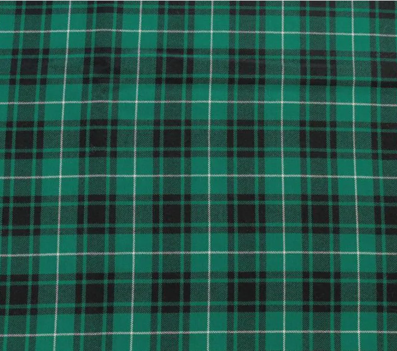Emerald Plaid Dog Cape: Holiday Pet Accessories, Dog Christmas Outfit, Green Tartan Pet Robe product image (3)