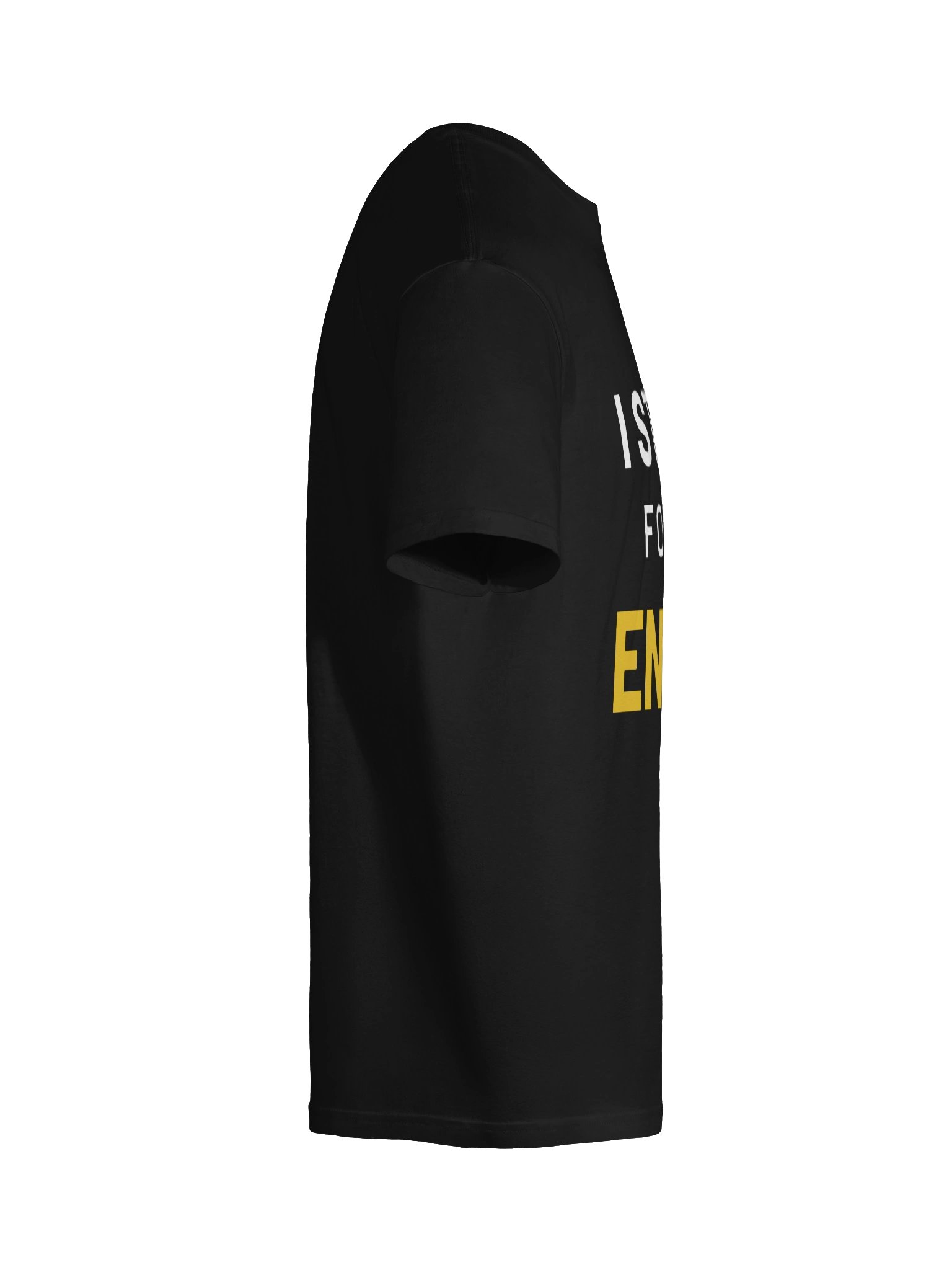 I Stayed for the Encore Tee (Classic) product image (10)