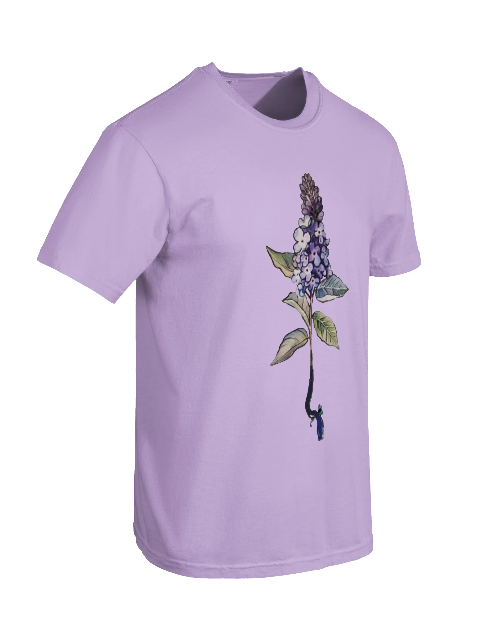 Buddlea Heavyweight T-shirt product image (6)
