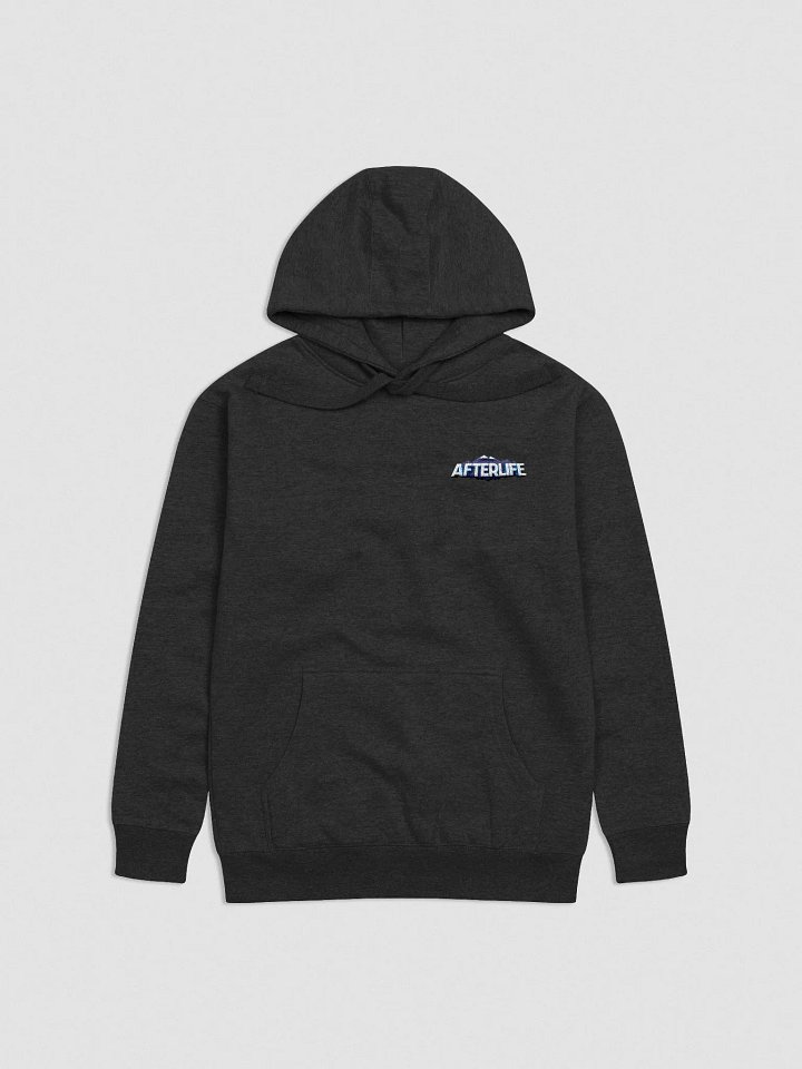AfterLife Embroidered Hoodie product image (2)