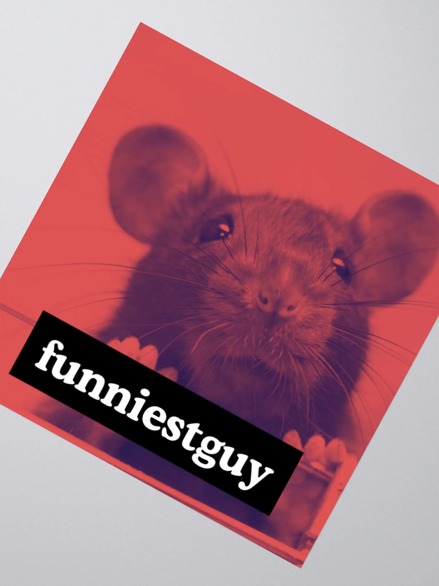 rat sticker product image (2)