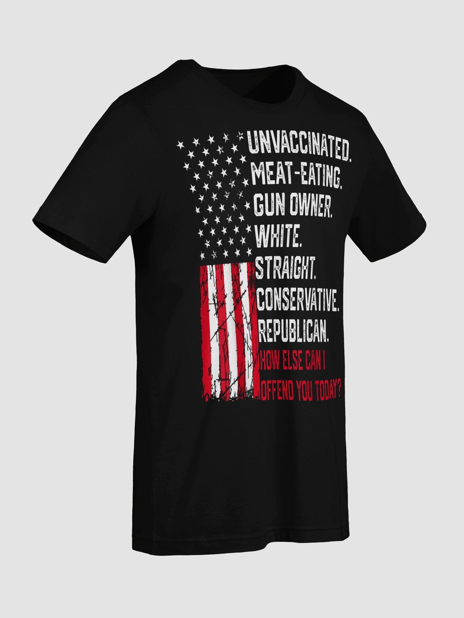 How Else Can I Offend You Today Political Statement T-Shirt product image (70)