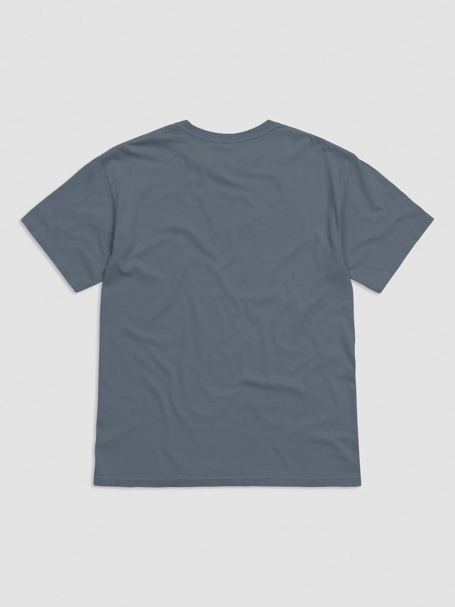 EXCLAIMING MENTALLY (L.C., white) embroidered garment dyed tee product image (10)