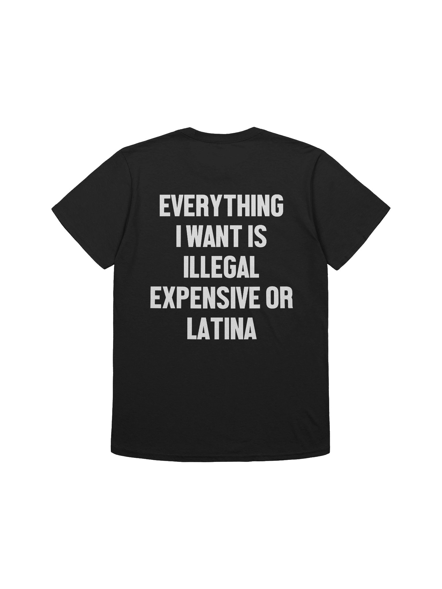 Everything I Want Is Illegal Expensive or Latina Funny Graphic T-Shirt product image (3)