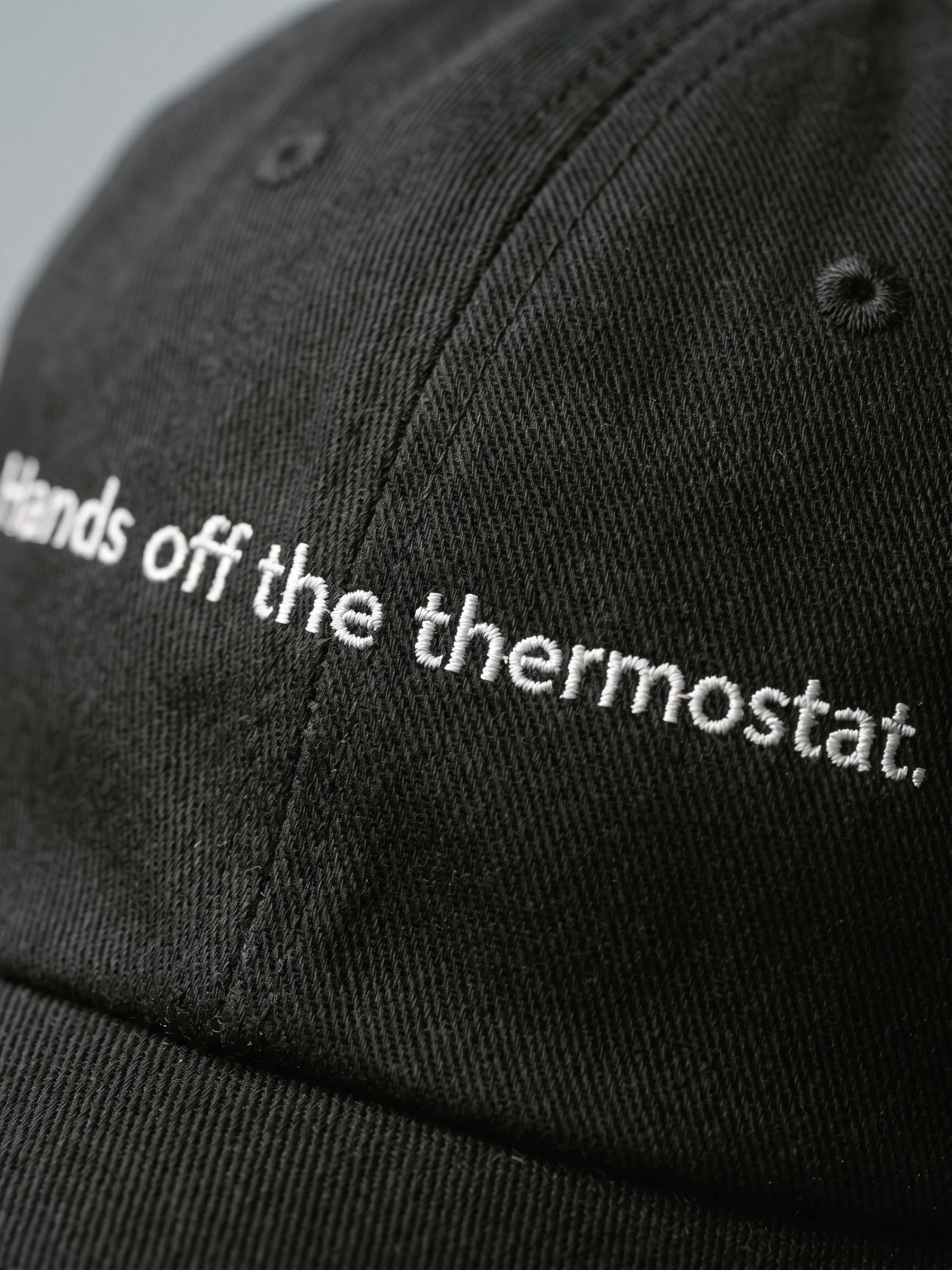 thermostat dad hat product image (2)