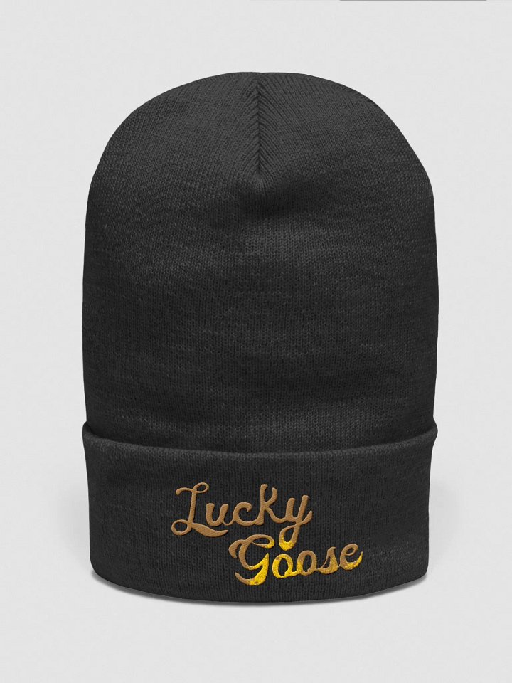 Lucky Goose Beanie product image (1)