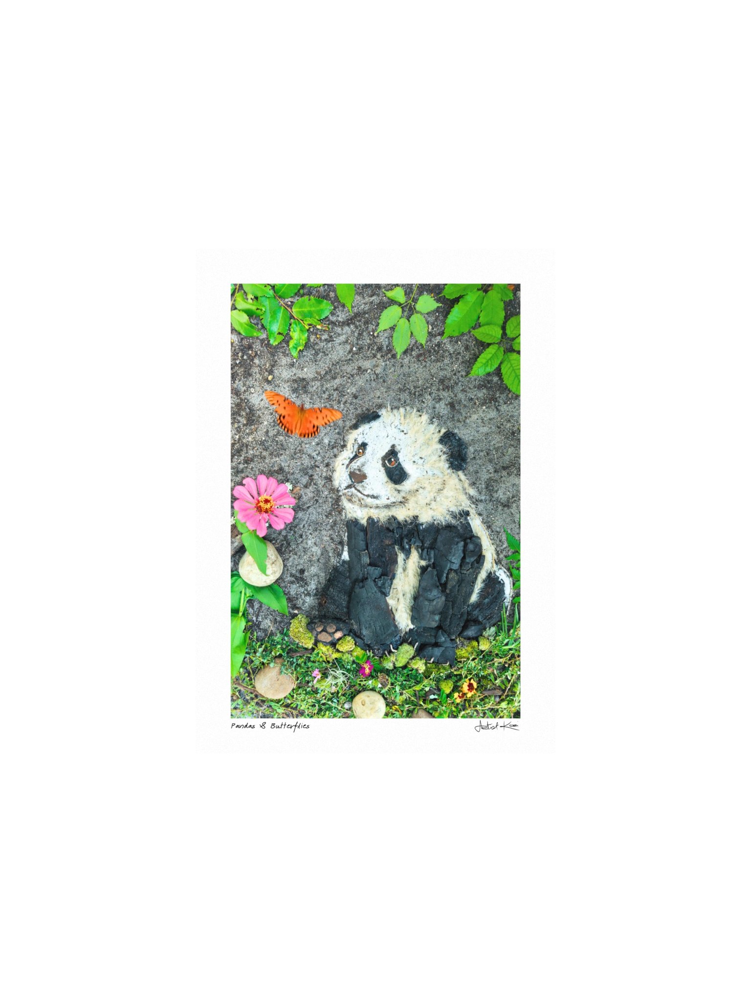 PANDAS & BUTTERFLIES | Mini Print product image (1)