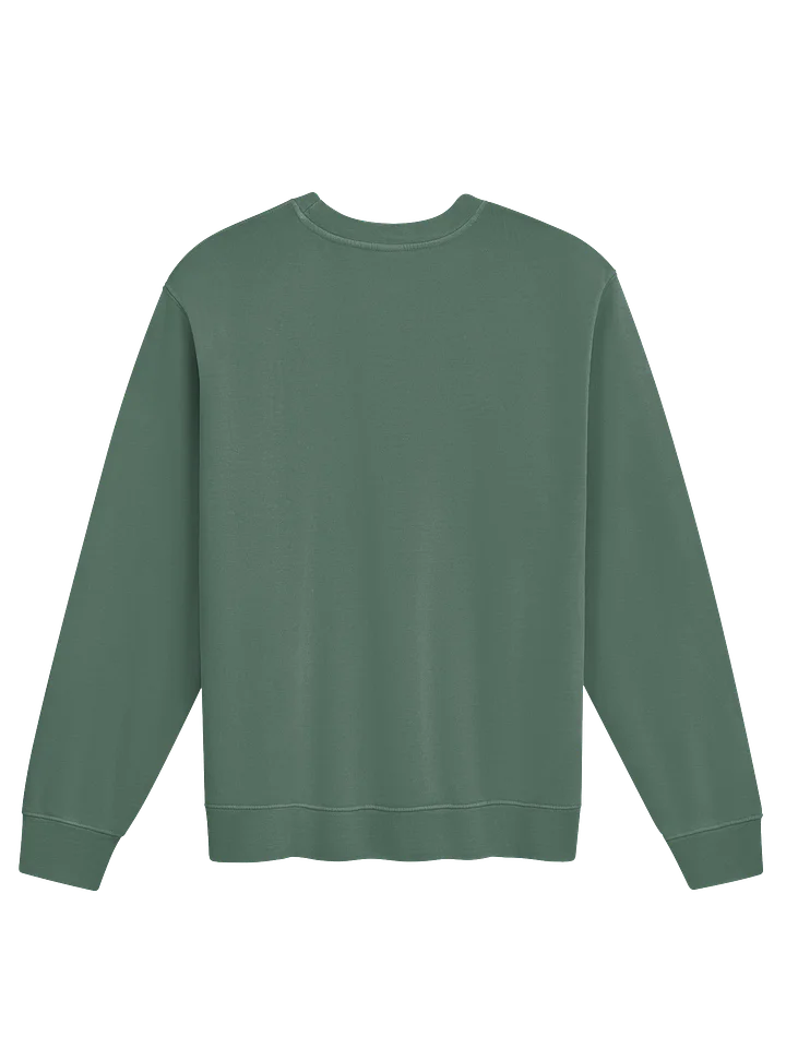 Reason FC 2026 Vintage Geometric Unisex Sweatshirt product image (6)