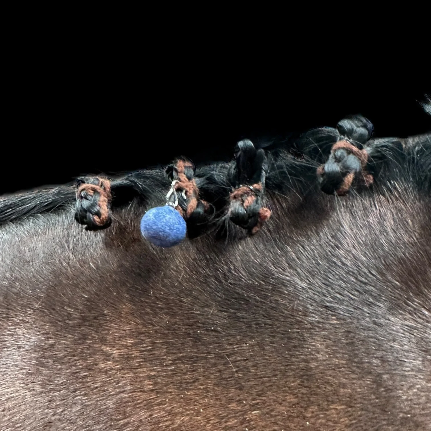 Blueberry 3d Whinny Winners Braid and Bridle Charms for Horses | Little Shop of Ponies product image (2)