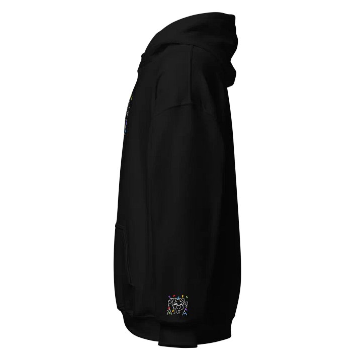 Sparkyy Embroidered Minimalist Hoodie! product image (2)