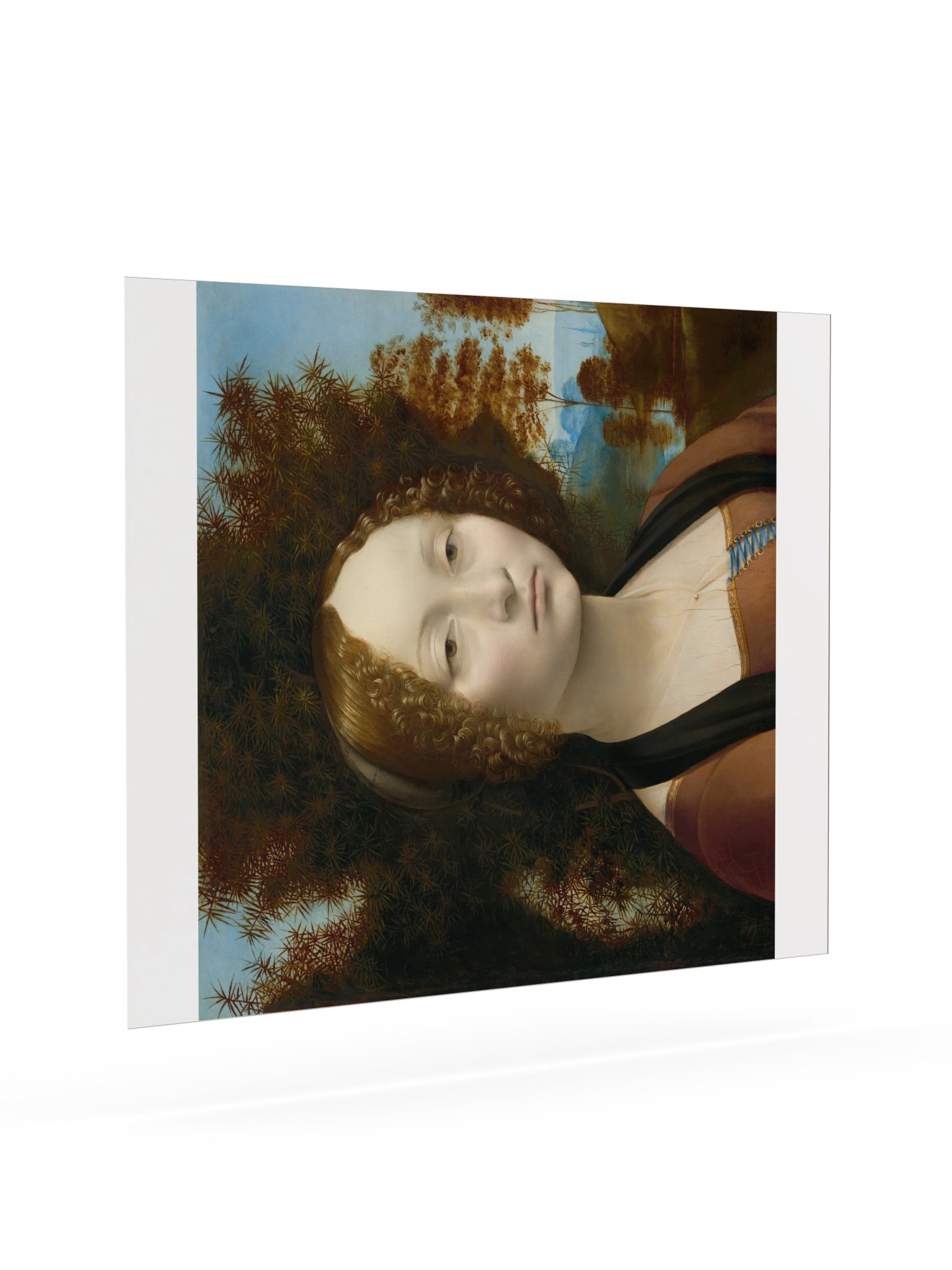 Leonardo da Vinci, Ginevra de' Benci (c. 1475) Fine Art Print product image (21)