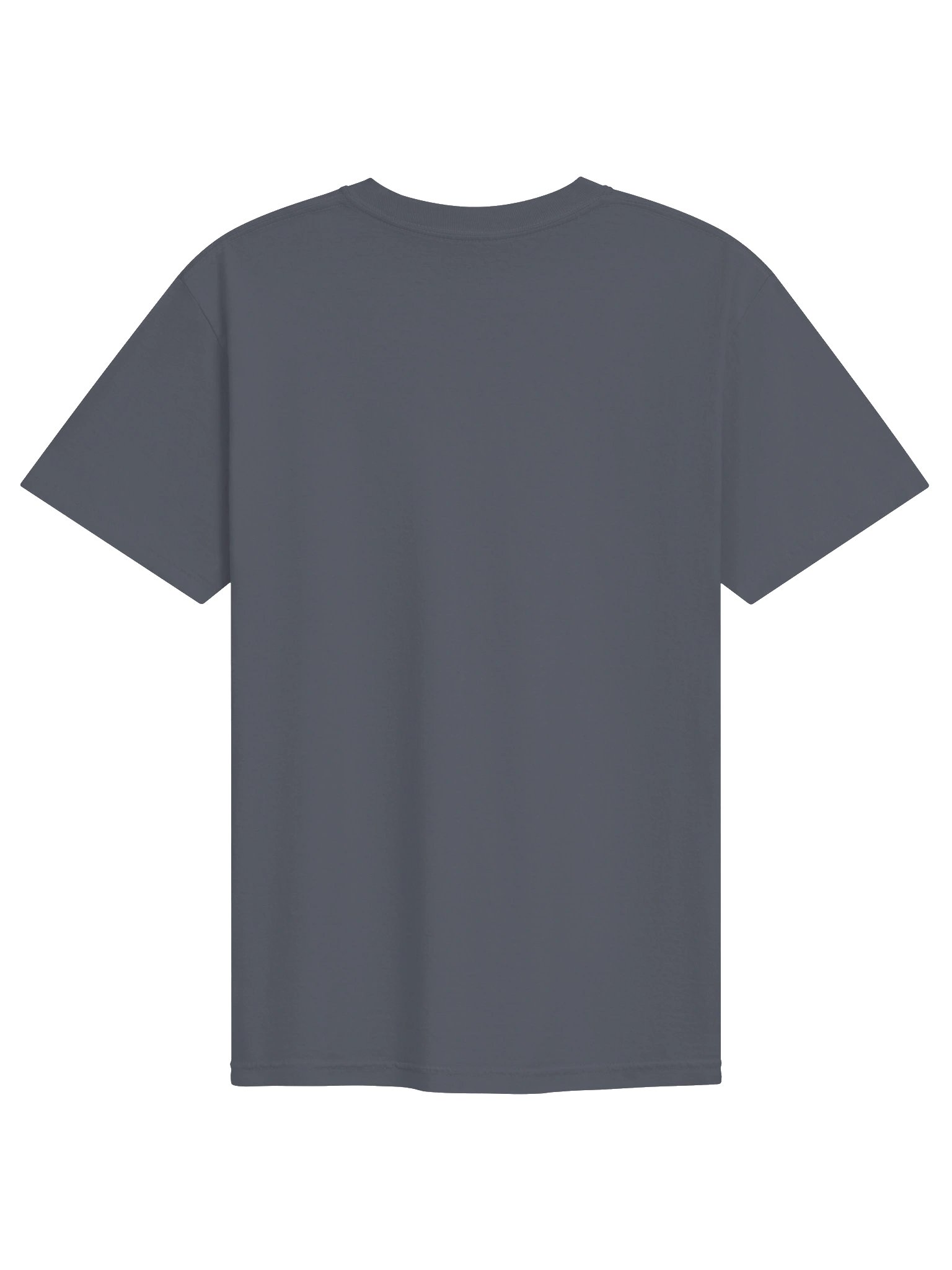 GS. Gravity Is a Myth | Adventure Motorcycle T-Shirt product image (6)