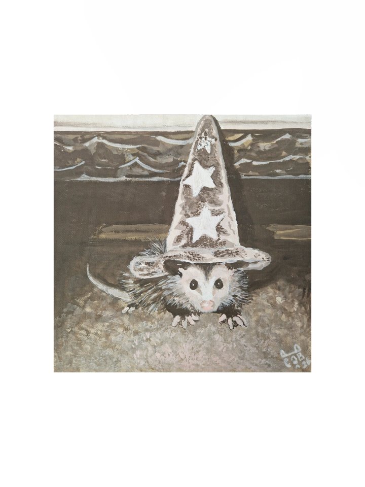 Hat possum print product image (4)