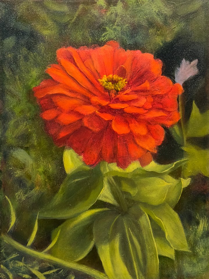 Zinnia (print) product image (1)