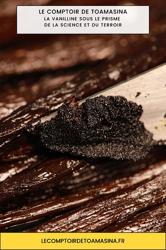 La Vanilline sous le Prisme de la Science et du Terroir

Des Bioréacteurs à la Haute Gastronomie : La Vanilline sous le Prism...