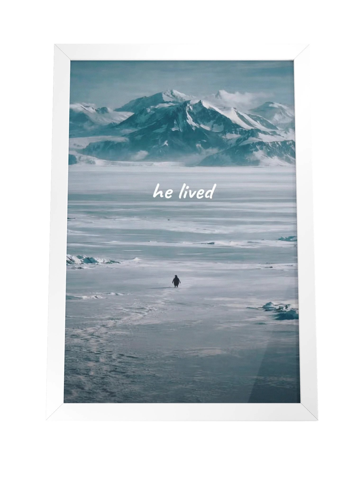 he lived- penguin product image (8)