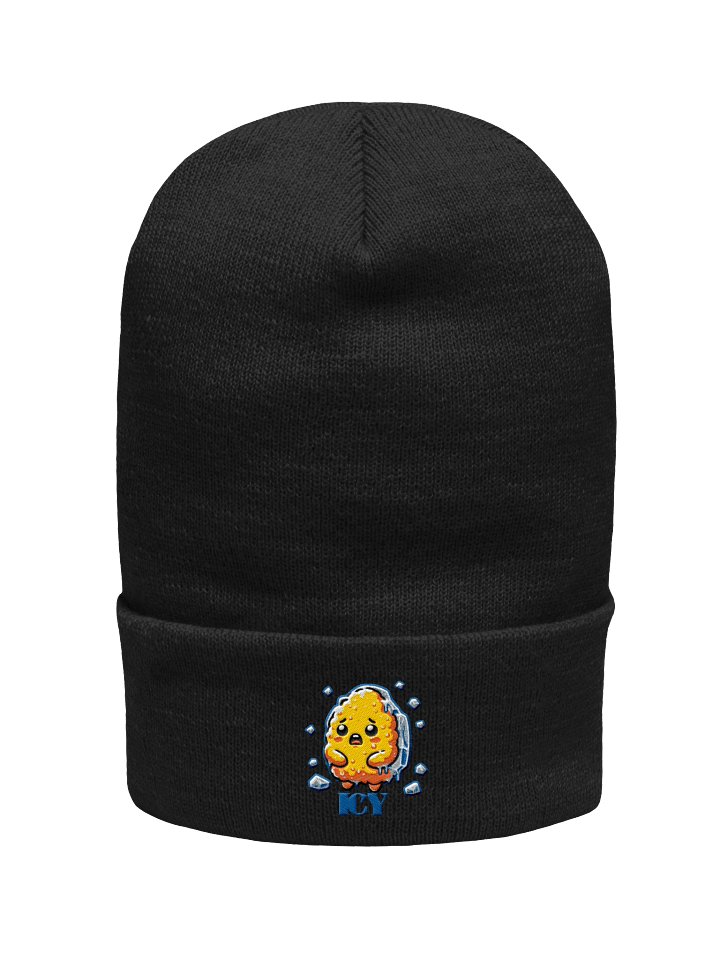 Icy beanie product image (1)