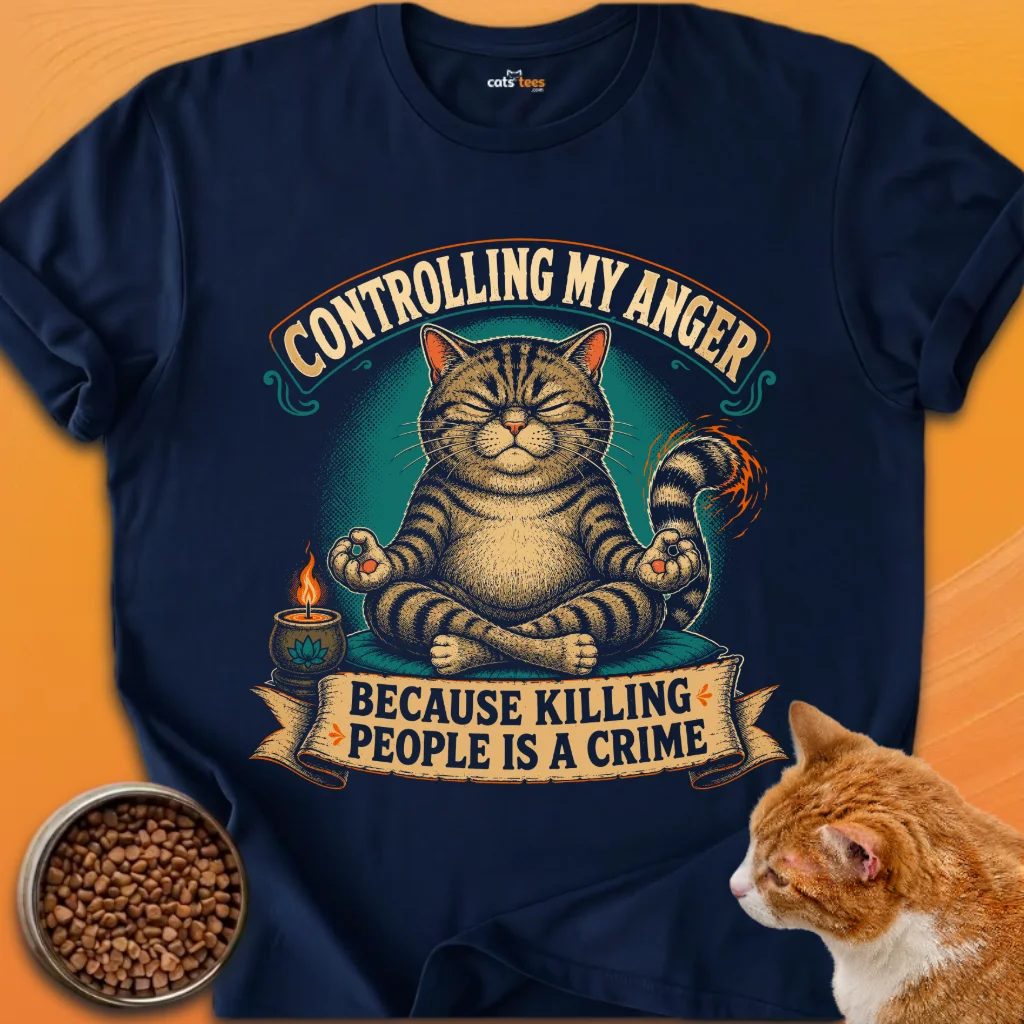 Controlling My Anger product image (4)