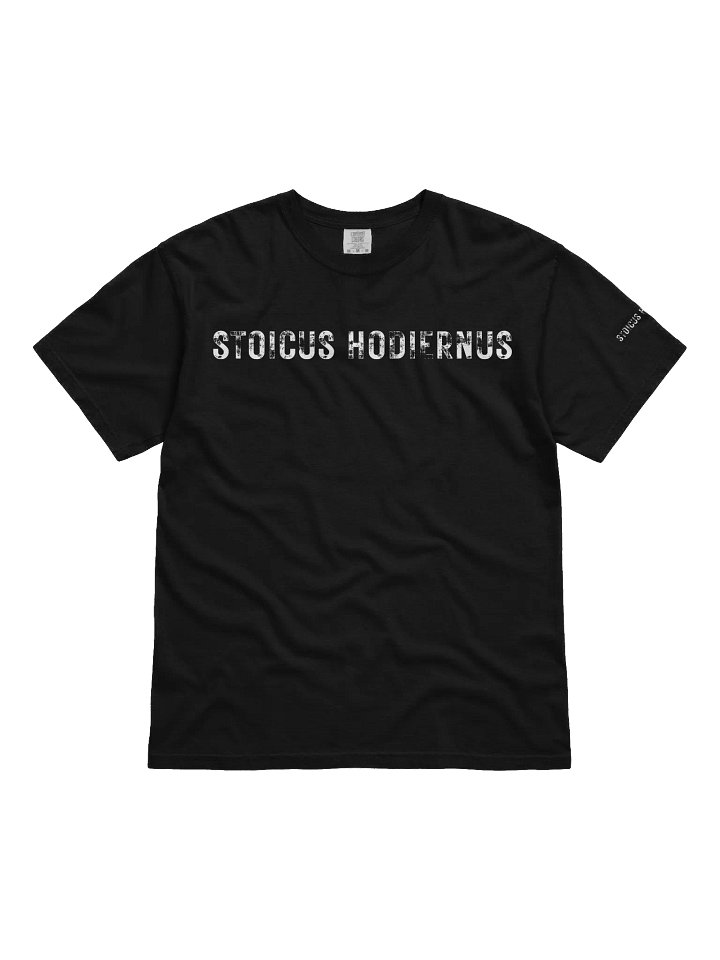 Modern Stoic Tee — “Fata Viam Invenient” Edition product image (3)