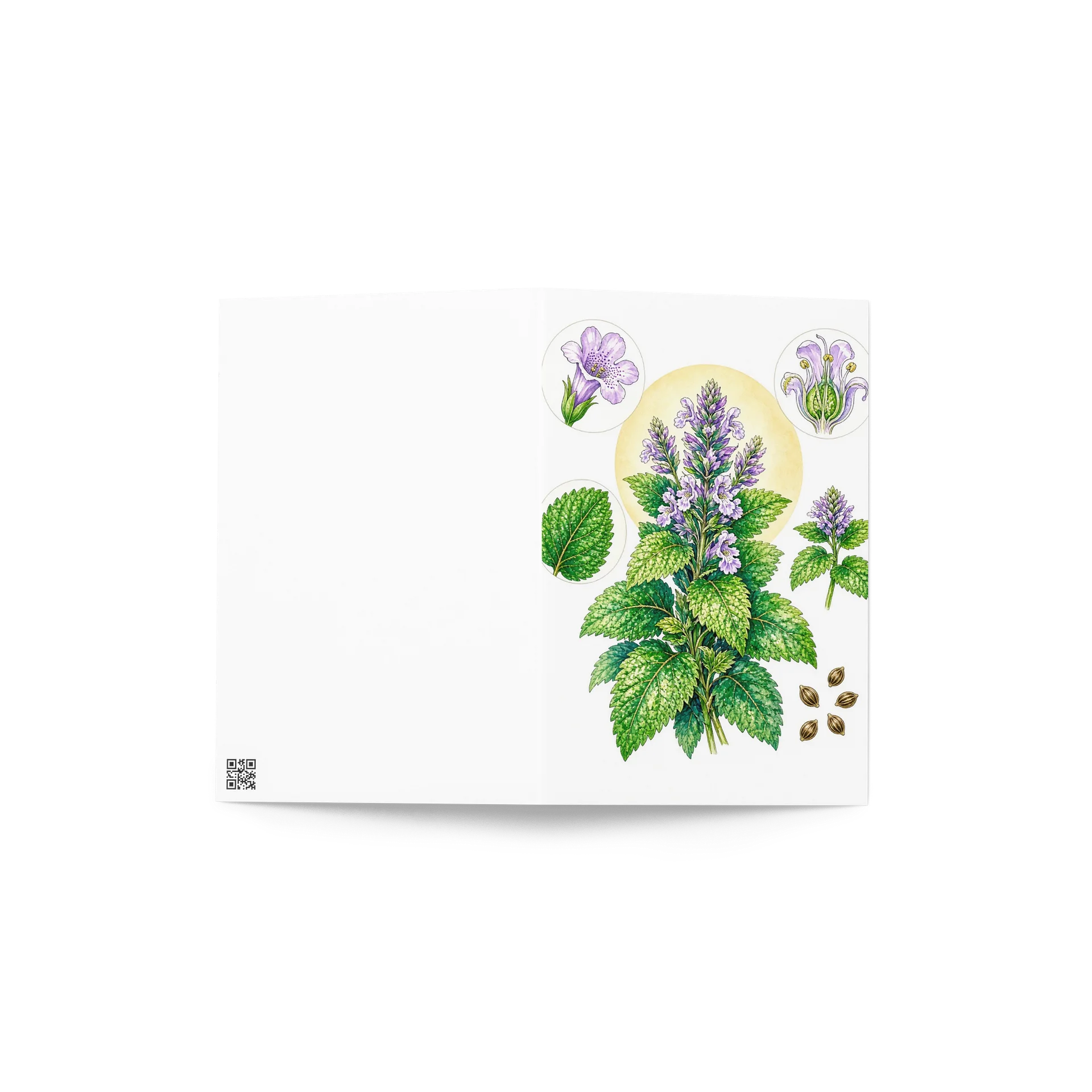 Modern Botanical Plate – Lemon Balm & Mint Greeting Card product image (4)