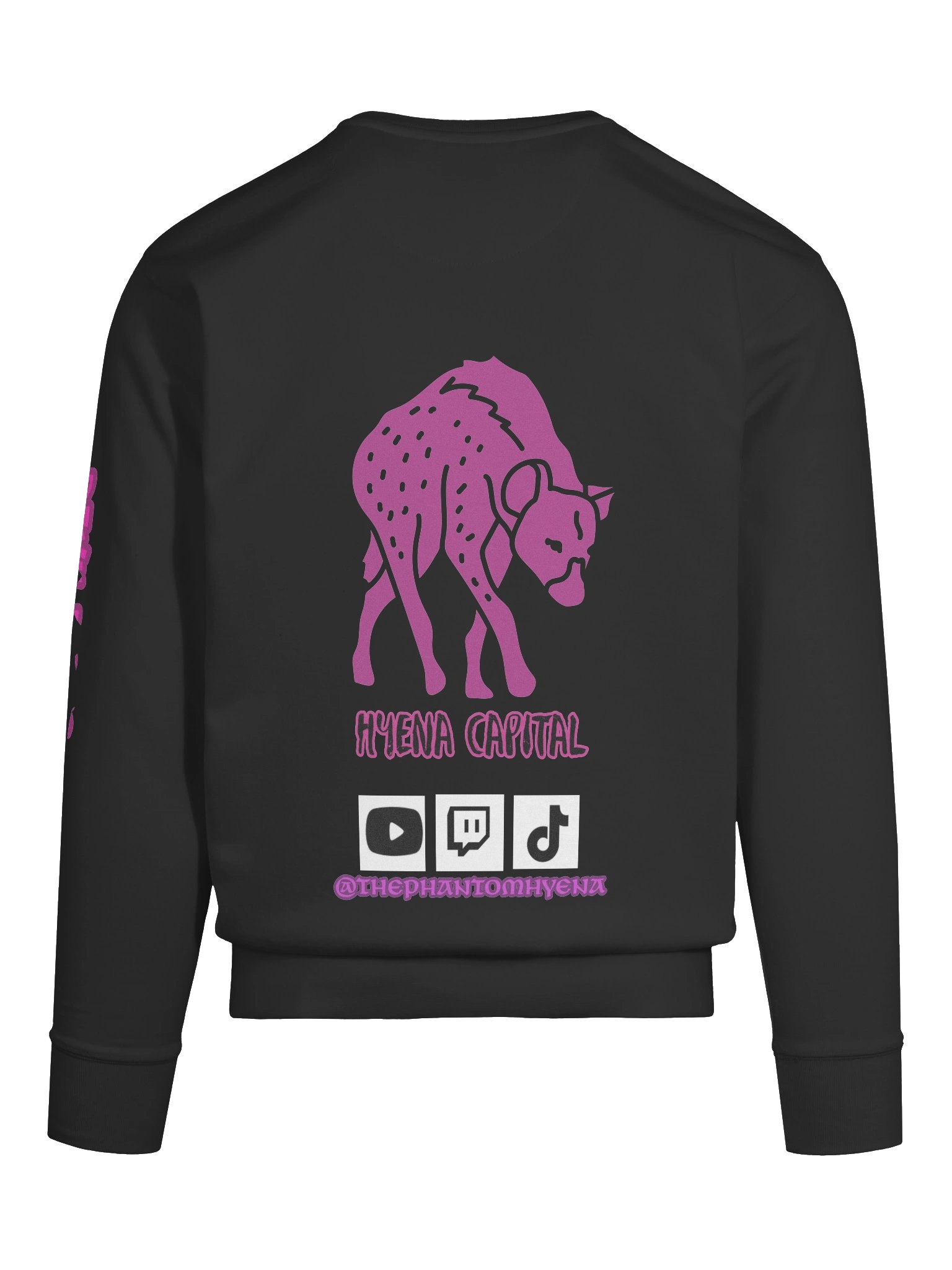 Hyena Capital Illustrated Premium Sweatshirt product image (11)